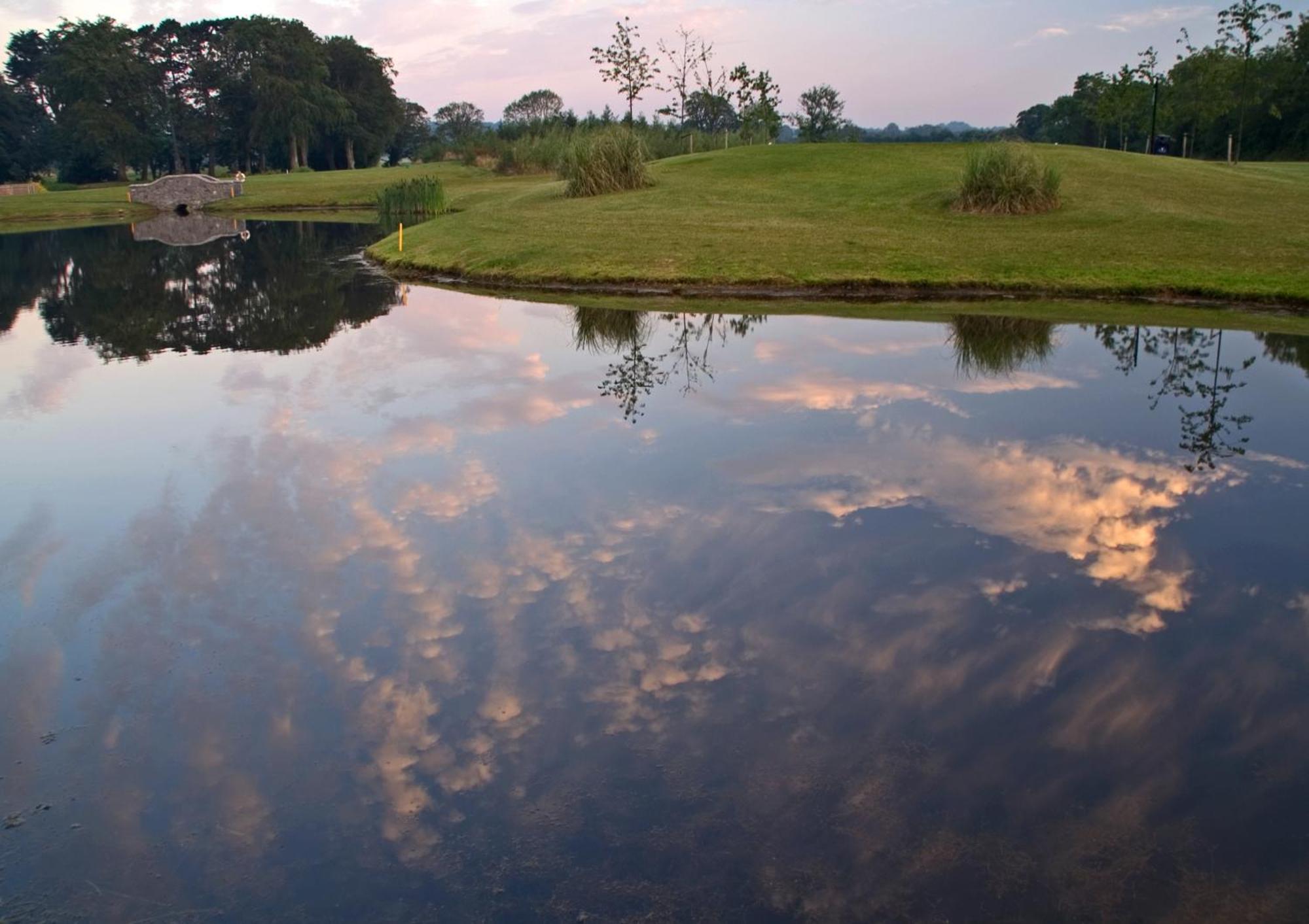 Roganstown Hotel & Country Club Swords Bagian luar foto