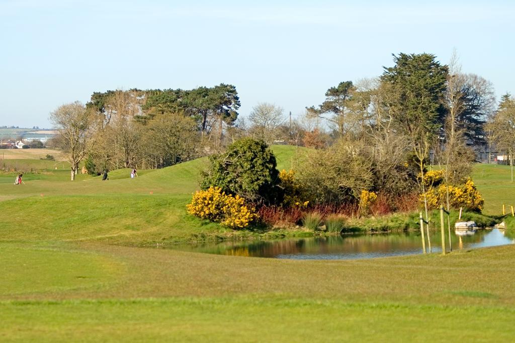 Roganstown Hotel & Country Club Swords Bagian luar foto